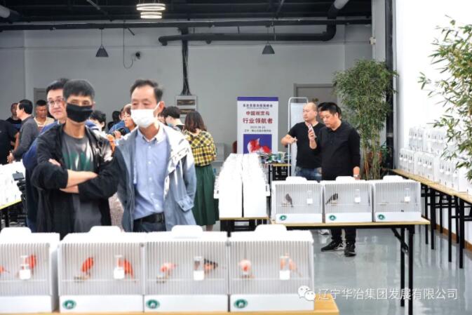 888.BY���Ź���