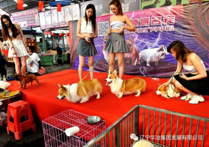 888.BY���Ź���